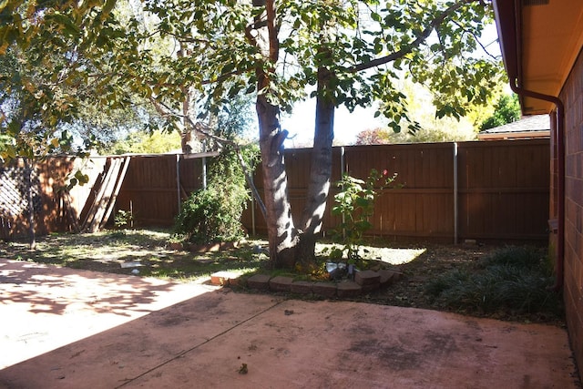 view of yard with a patio