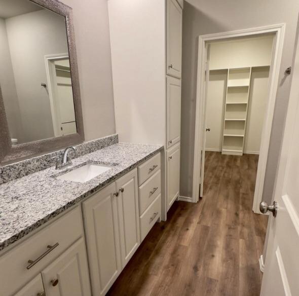 bathroom featuring wood-type flooring and vanity