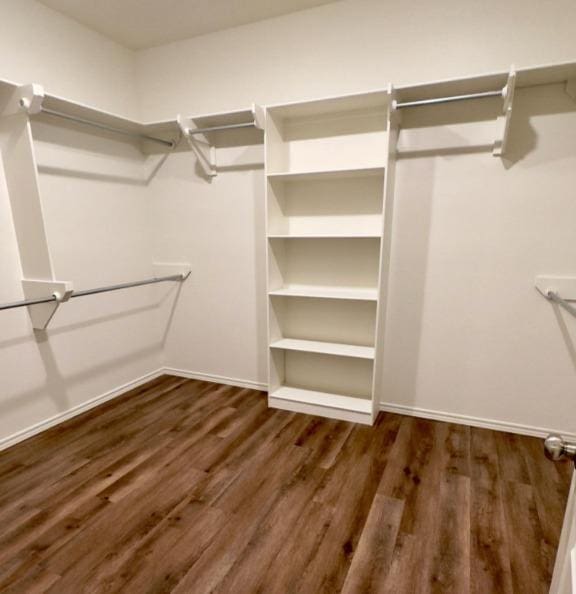 spacious closet featuring dark hardwood / wood-style flooring