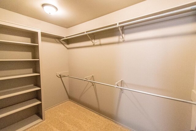 spacious closet featuring light colored carpet