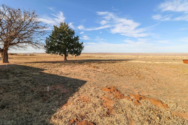 view of yard with a rural view