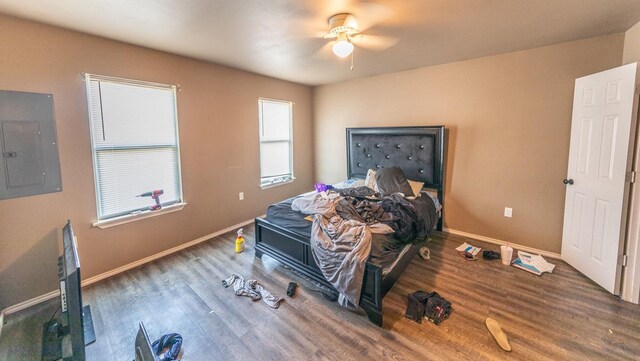 bedroom with dark hardwood / wood-style flooring, electric panel, and multiple windows