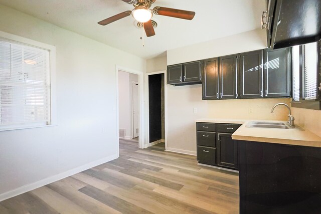 kitchen featuring sink, ceiling fan, and light wood-type flooring