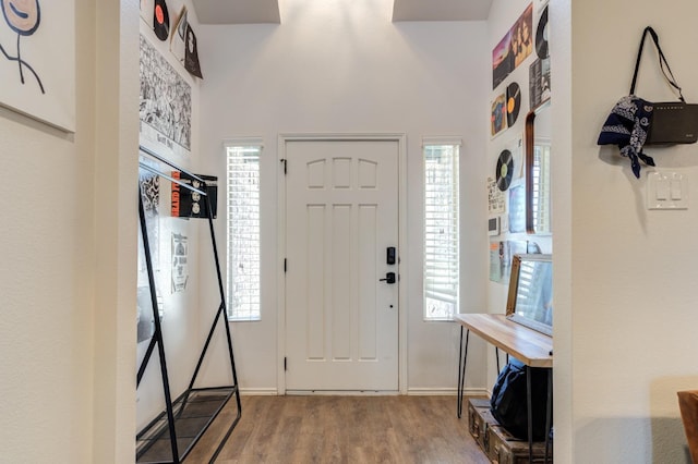 entrance foyer with wood-type flooring and a healthy amount of sunlight