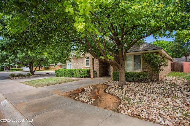5110 1st Pl, Lubbock, TX 79416 - view of property hidden behind natural elements featuring brick siding and concrete driveway