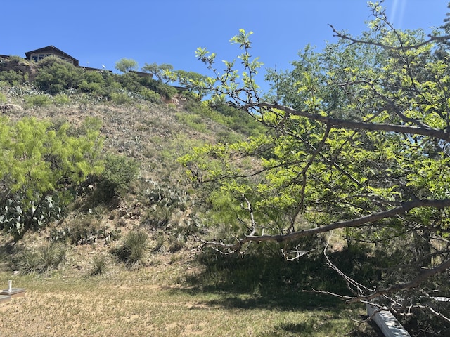 18 Foothill Dr, Ransom Canyon, TX 79366 - photo 59