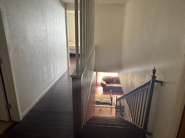 staircase featuring hardwood / wood-style floors