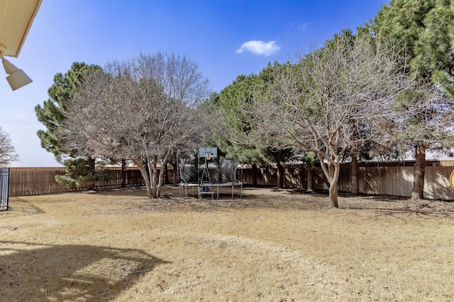 view of yard featuring a trampoline and a fenced backyard