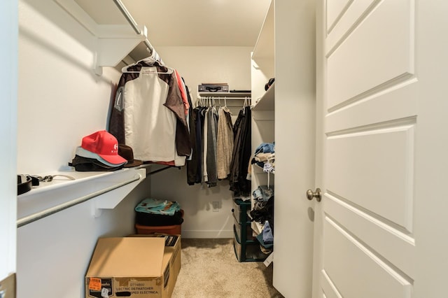 walk in closet featuring light carpet