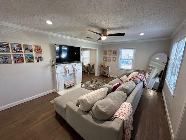 living room featuring crown molding, dark hardwood / wood-style floors, a textured ceiling, and ceiling fan