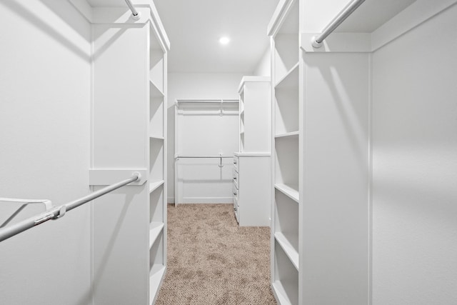 walk in closet featuring light colored carpet