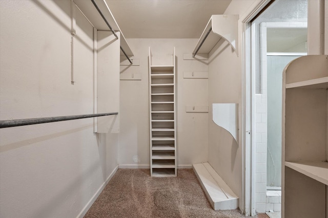 3808 27th St, Lubbock, TX 79410 - spacious closet featuring carpet