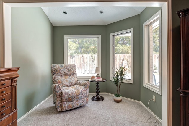 sitting room with a textured ceiling and carpet flooring