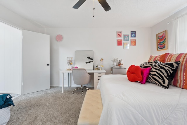 4706 78th St, Lubbock, TX 79424 - photo 27