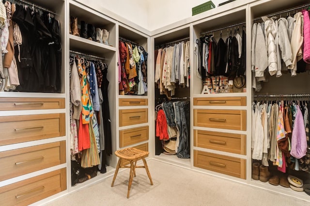 7722 47th St, Lubbock, TX 79407 - view of spacious closet