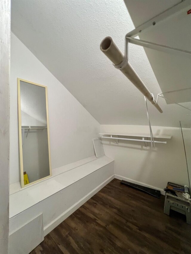 walk in closet featuring lofted ceiling and dark hardwood / wood-style flooring