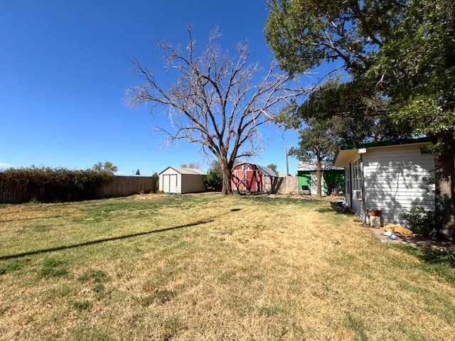 view of yard featuring a shed