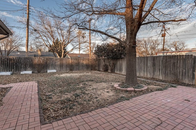 view of yard featuring a patio area