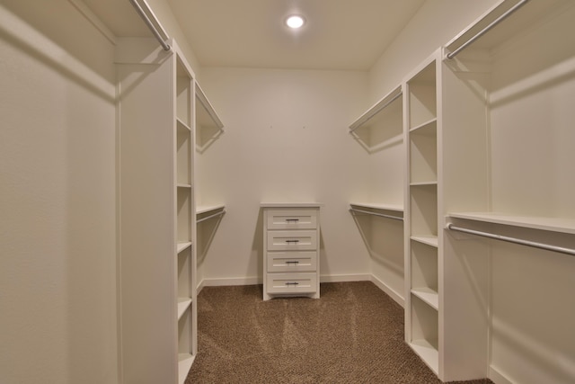 10504 Ave X, Lubbock, TX 79423 - walk in closet with dark colored carpet