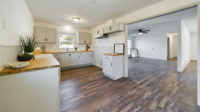 kitchen with white cabinetry, wooden counters, dark hardwood / wood-style flooring, and a textured ceiling