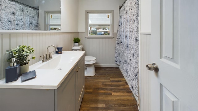 bathroom featuring vanity, wood-type flooring, and toilet