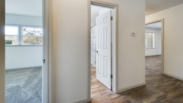 hallway featuring dark wood-type flooring