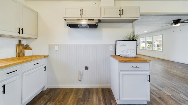 laundry room with dark wood-type flooring and ceiling fan