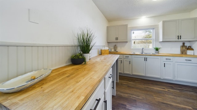 kitchen with dark hardwood / wood-style floors, sink, and butcher block countertops