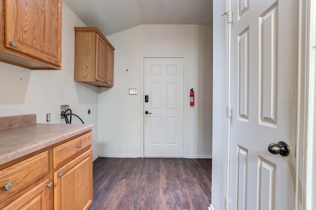 clothes washing area featuring cabinets, washer hookup, dark hardwood / wood-style flooring, and electric dryer hookup