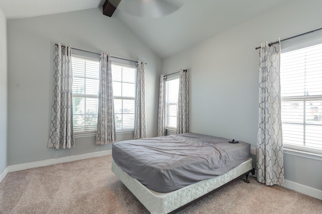 1114 N Gardner Ave, Lubbock, TX 79416 - photo 30