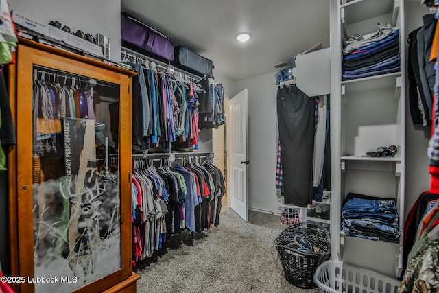 14320 Ave U, Lubbock, TX 79423 - walk in closet with carpet flooring