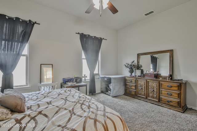 14320 Ave U, Lubbock, TX 79423 - bedroom with multiple windows, carpet, and a ceiling fan