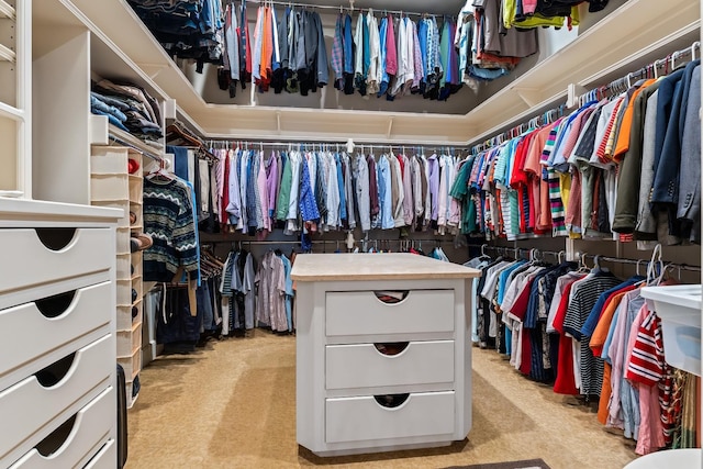 walk in closet with light colored carpet