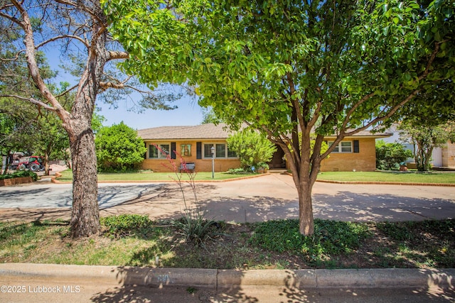 610 N 20th St, Lamesa, TX 79331 - ranch-style house featuring a front lawn and brick siding