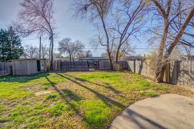 view of yard featuring a storage shed and a patio