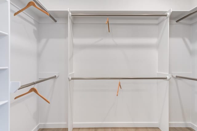 spacious closet featuring light wood-type flooring