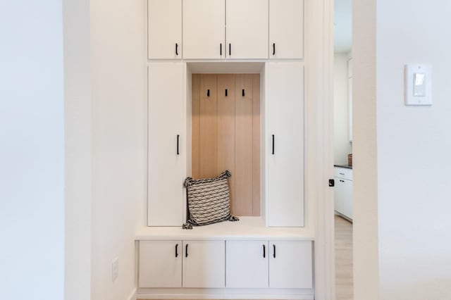 mudroom with light wood-type flooring