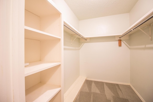 5720 71st St, Lubbock, TX 79424 - walk in closet with carpet floors