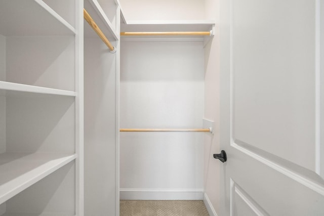 spacious closet with carpet