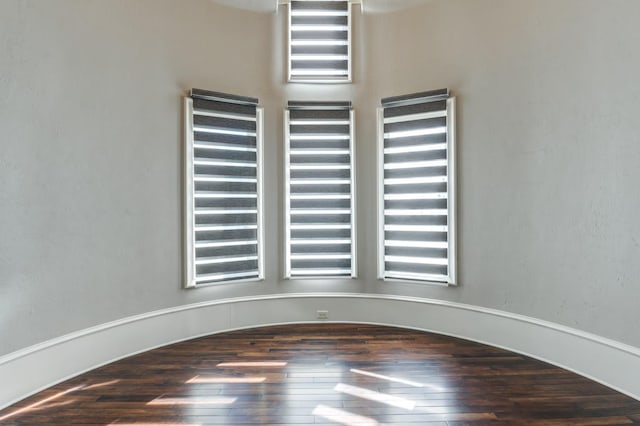 empty room featuring wood-type flooring