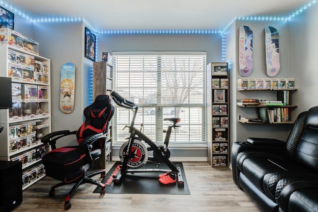 exercise room with hardwood / wood-style floors