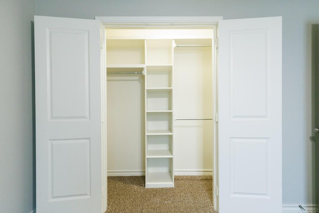 view of closet