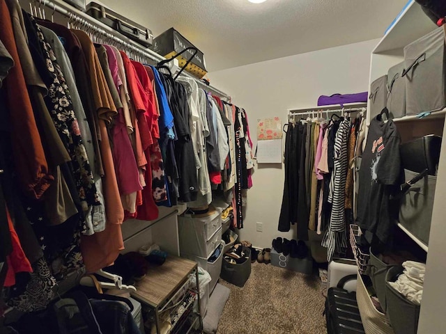 spacious closet with carpet flooring