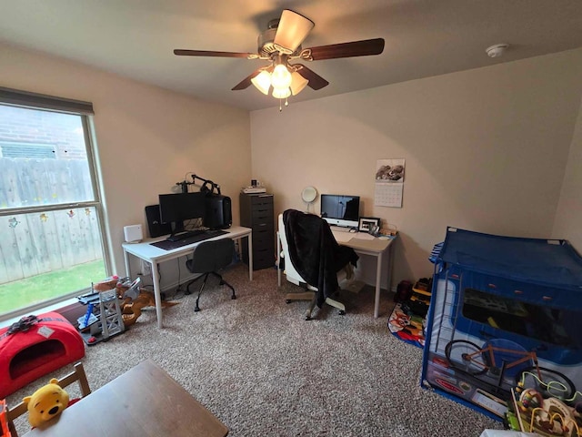 office space with ceiling fan and carpet flooring