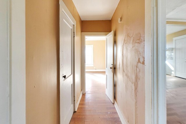 hallway featuring hardwood / wood-style flooring