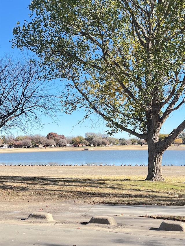 property view of water