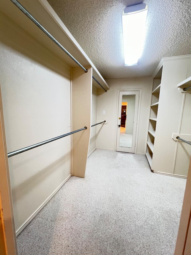 spacious closet with carpet