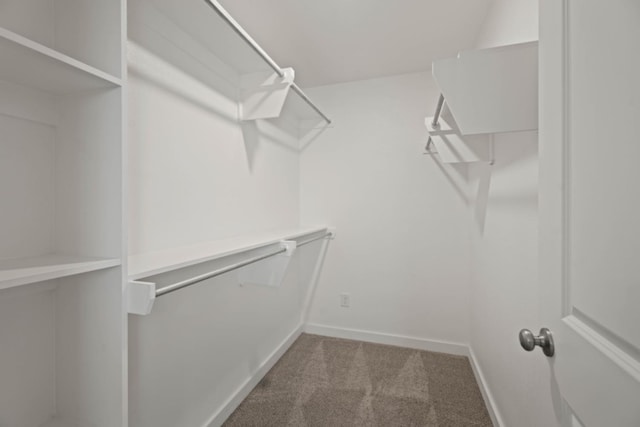 walk in closet with carpet