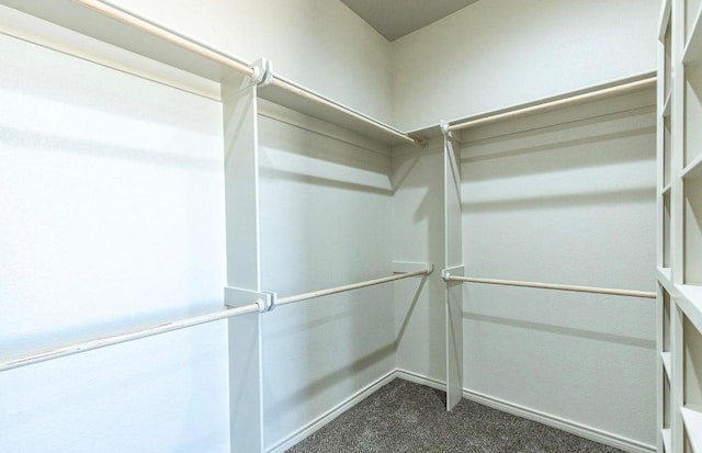 walk in closet with dark colored carpet