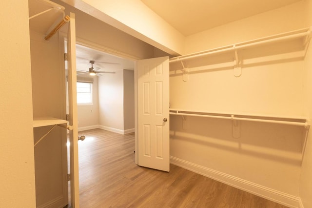 walk in closet with hardwood / wood-style floors